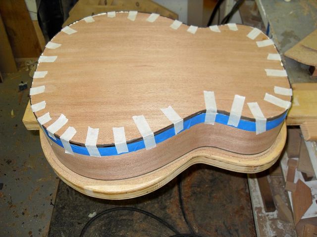 Back binding
