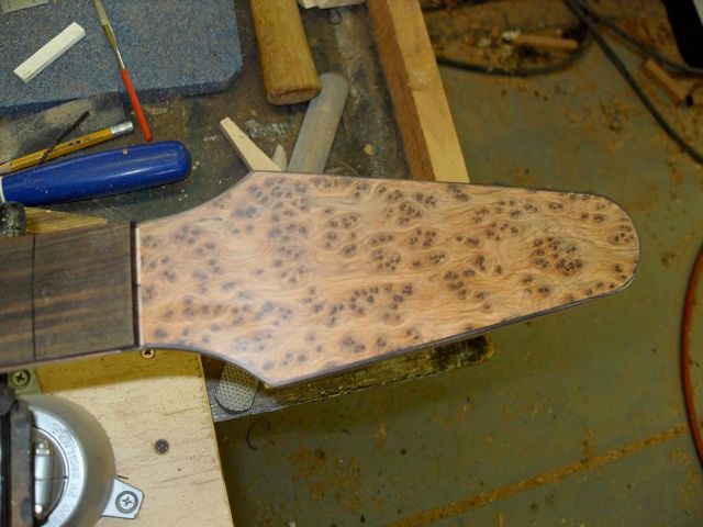 Thuya burl