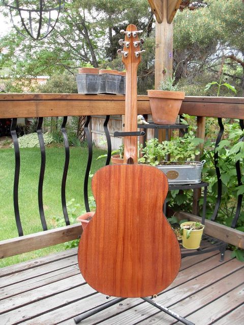 African mahogany