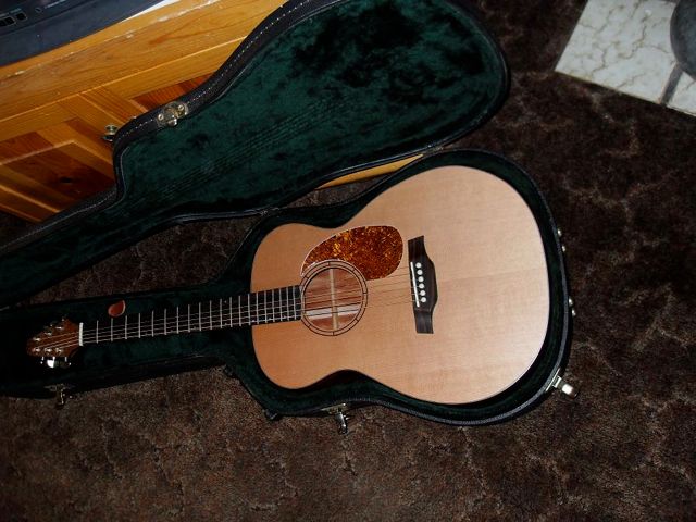 Vintage tortis pickgard