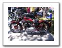 IMG_0050