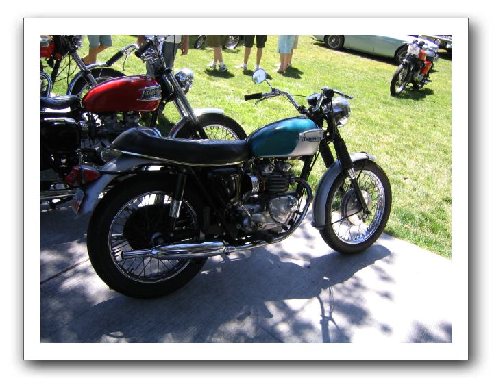 Triumph T100