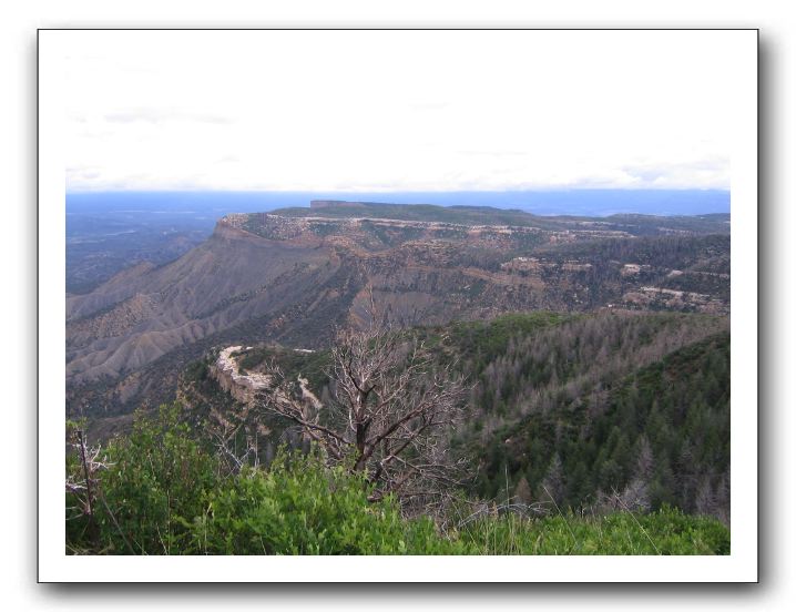 Into Mesa Verde