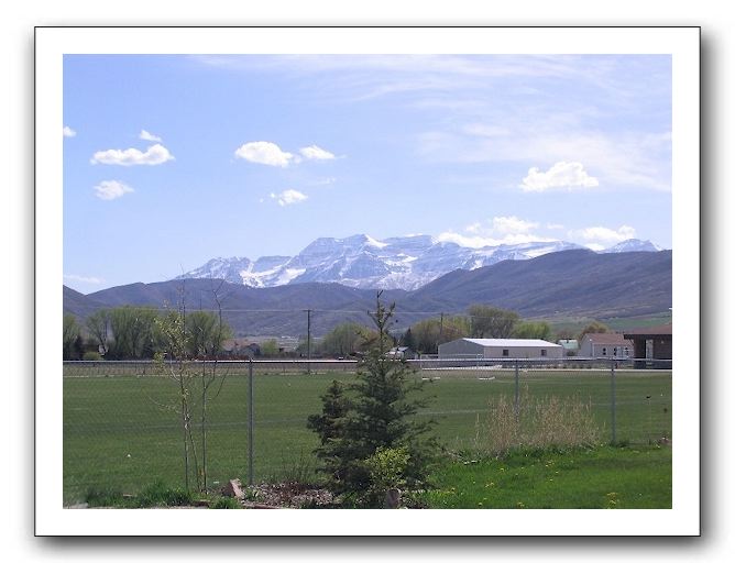 Timp