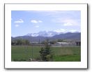 Timp