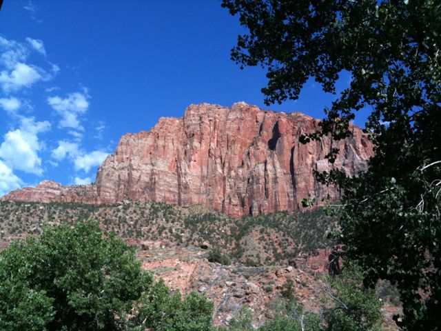 View from deck
